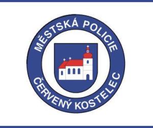 mestska policie